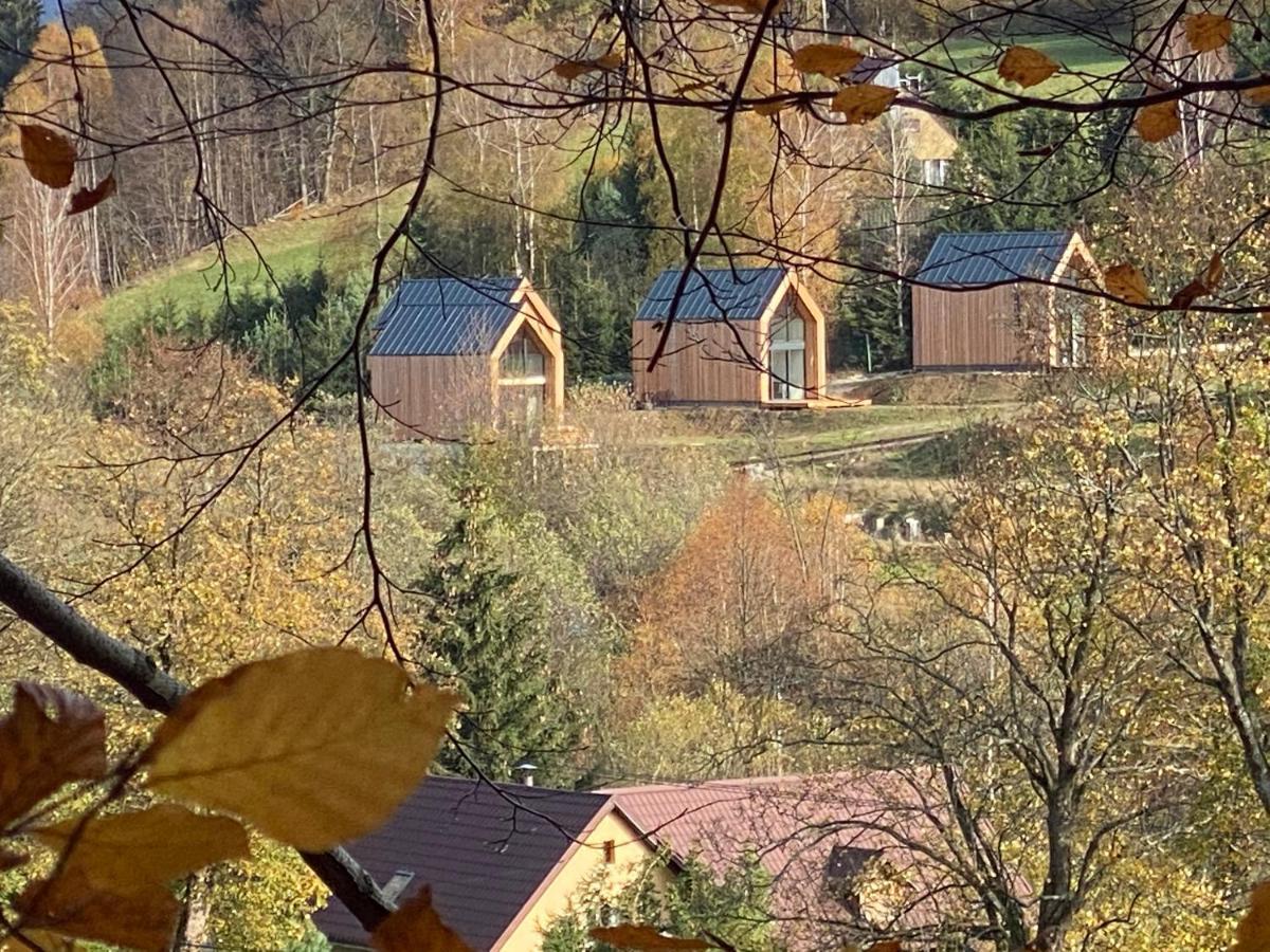 Domki Pod Lasem - Domek Brzozowy Строне-Слёнске Экстерьер фото