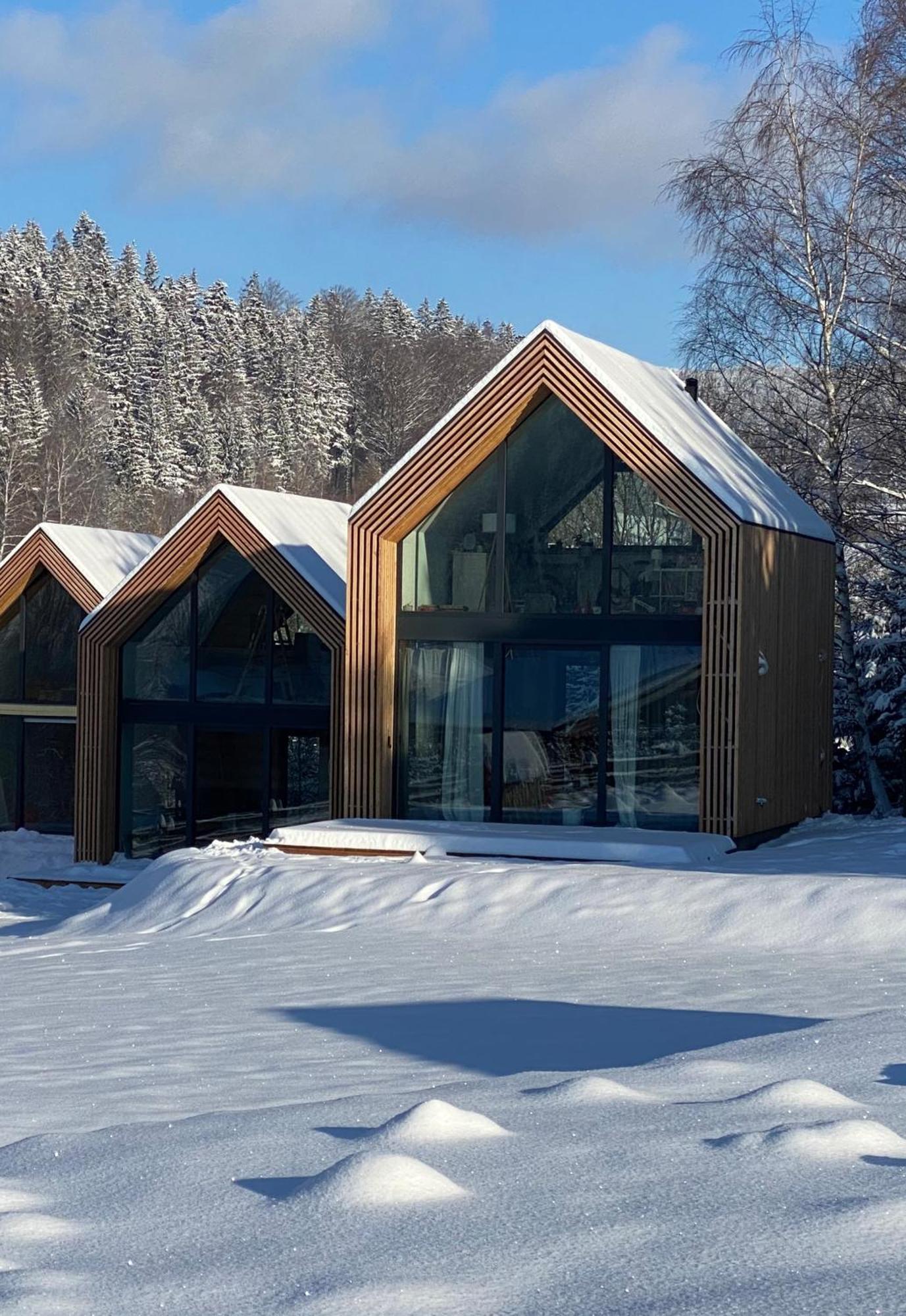 Domki Pod Lasem - Domek Brzozowy Строне-Слёнске Экстерьер фото